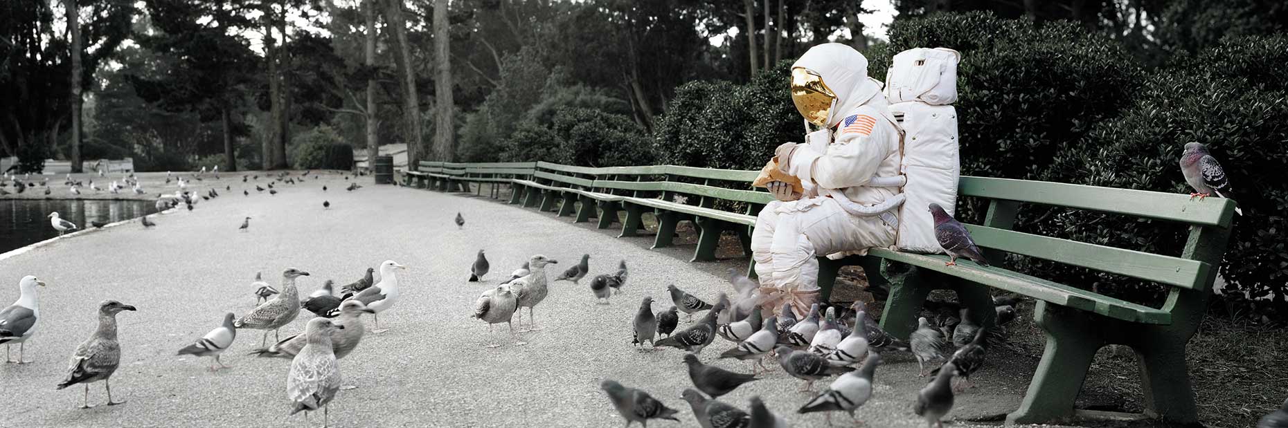 Astronaut_pigeons_RESIZED_FOR_WEB